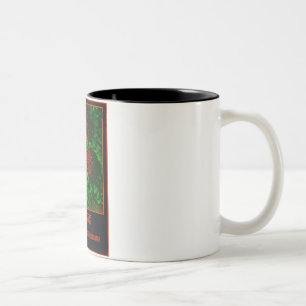 Tasse 2 Couleurs Le CAFÉ stimulent vos neurones !