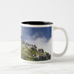 Tasse 2 Couleurs Le Cap, Afrique du Sud. Un phare sur la