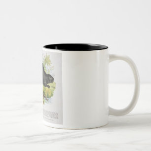Tasse 2 Couleurs Le castor, pub éducatif d'illustration. par le S