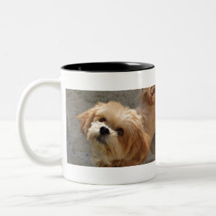 Tasse 2 Couleurs Le chien de Lhassa Apso dans le jardin