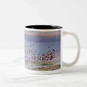 Tasse 2 Couleurs Le Flamant rose de James, jamesi de Phoenicoparrus