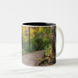 Tasse 2 Couleurs le long du sentier forestier sinueux des collines