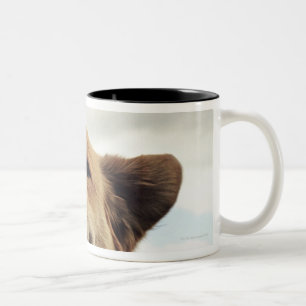 Tasse 2 Couleurs Le Montana, Etats-Unis