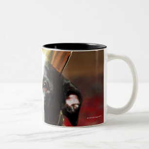 Tasse 2 Couleurs Le nom latin pour tous les chiens domestiques est