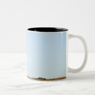 Tasse 2 Couleurs Le Northumberland, Angleterre