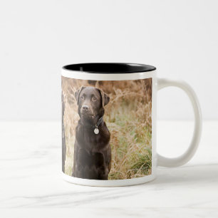 Tasse 2 Couleurs Le R-U, Angleterre, Suffolk, forêt de Thetford,