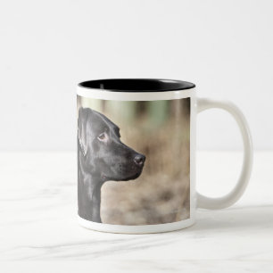Tasse 2 Couleurs Le R-U, Angleterre, Suffolk, forêt de Thetford,