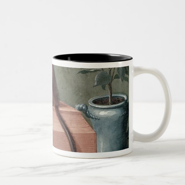 Tasse 2 Couleurs Le singe préféré de Karl Linnaeus (Droit)