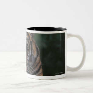 Tasse 2 Couleurs Le tigre CUB repose sur la roche