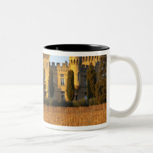 Tasse 2 Couleurs Le vignoble avec des vignes de syrah et le château