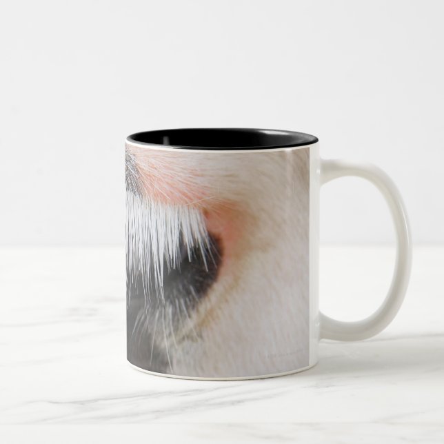 Tasse 2 Couleurs Le visage de la vache du Holstein, plan rapproché (Droit)