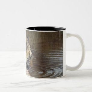 Tasse 2 Couleurs L'eau de recouvrement de tigre (Panthera le Tigre)