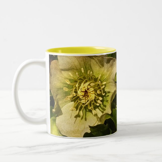 Tasse 2 Couleurs Lenten Rose Hellebore (Gauche)