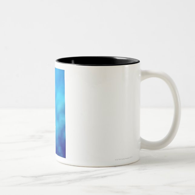 Tasse 2 Couleurs Les anthias de Bartlett (Droit)