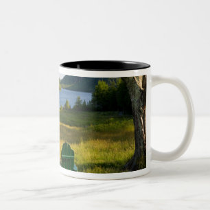 Tasse 2 Couleurs Les chaises Adirondack sur la pelouse de Jordan