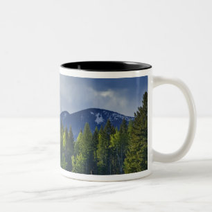Tasse 2 Couleurs Les chevaux paissent dans un pâturage près de Whit