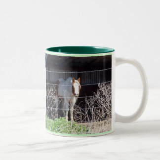 Tasse 2 Couleurs Les chevaux sont ma chose ! ! !