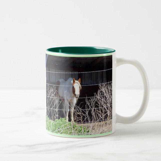 Tasse 2 Couleurs Les chevaux sont ma chose ! ! ! (Droit)