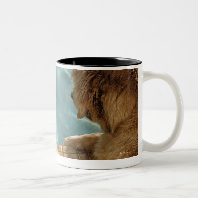 Tasse 2 Couleurs Les Etats-Unis, Hawaï, Honolulu (Droit)
