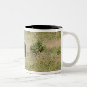 Tasse 2 Couleurs Les Etats-Unis, le Dakota du Sud, bison américain