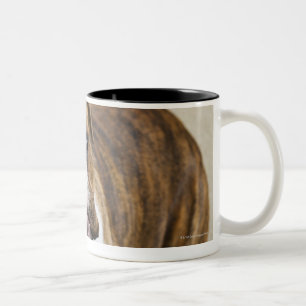 Tasse 2 Couleurs Les Etats-Unis, New Jersey, Jersey City, portrait