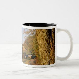Tasse 2 Couleurs Les Etats-Unis, Vermont, Woodstock du sud, ferme