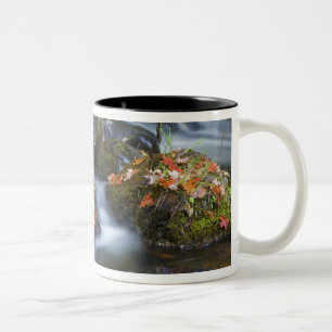 Tasse 2 Couleurs Les feuilles d'érable rouge tapissent les rochers