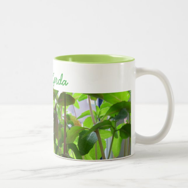 Tasse 2 Couleurs Les plantes continuent à élever des graines avec (Droit)