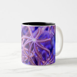 Tasse 2 Couleurs Les récifs coralliens colorés