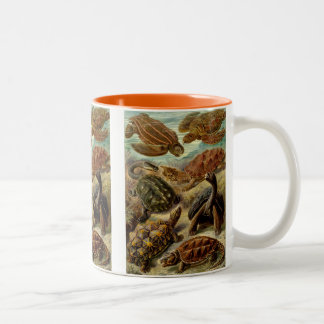 Tasse 2 Couleurs Les tortues Haeckel