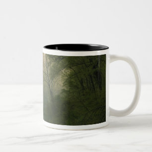 Tasse 2 Couleurs Lever de soleil à travers le brouillard vu de Red