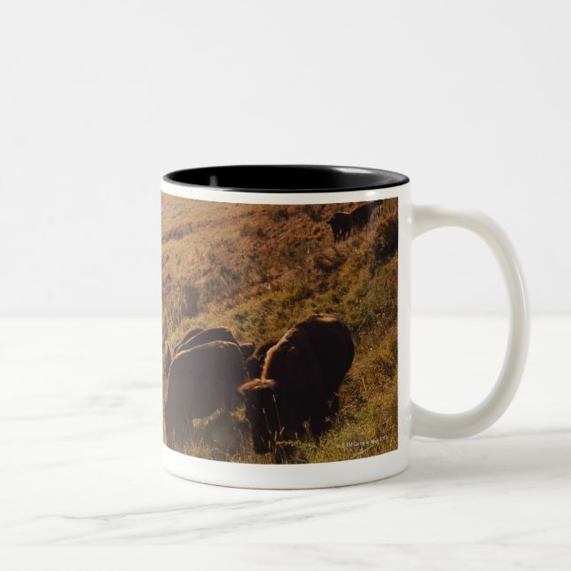 Tasse 2 Couleurs Lever de soleil sur le bison (Droit)