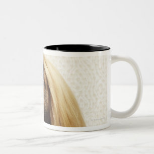 Tasse 2 Couleurs Lévrier afghan se reposant dans la chambre