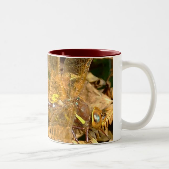 Tasse 2 Couleurs Libellule Brown de colporteur (F) (Droit)