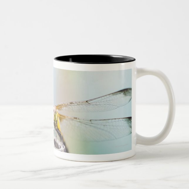 Tasse 2 Couleurs Libellule (infuscatum de Sympetrum) 2 (Droit)