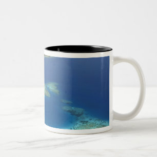 Tasse 2 Couleurs L'île de Matamanoa et la barrière de corail, l'