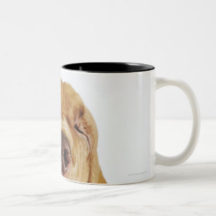 Tasse 2 Couleurs Limier (chien de St Hubert) avec les yeux fermés,