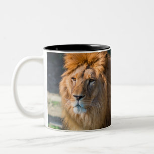 Tasse 2 Couleurs Lion 013