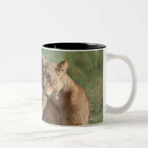 Tasse 2 Couleurs Lion 5