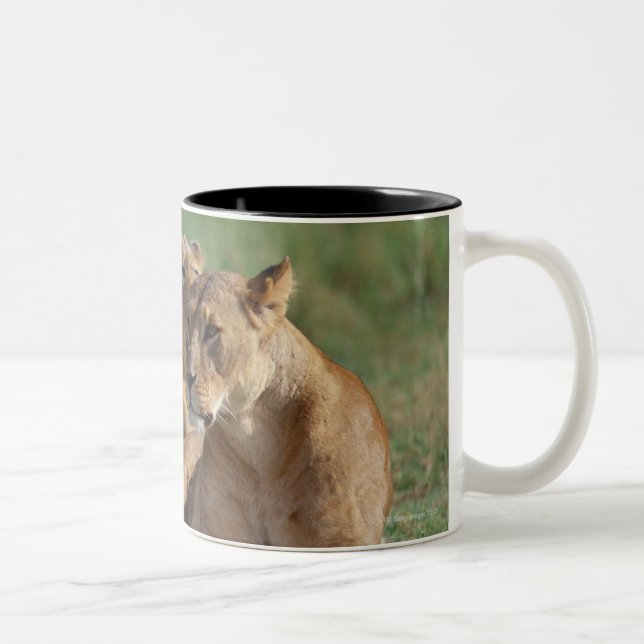 Tasse 2 Couleurs Lion 5 (Droit)