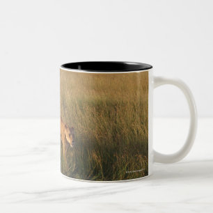 Tasse 2 Couleurs Lion 6