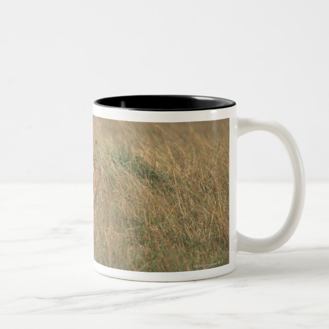 Tasse 2 Couleurs Lion 9 (Droit)