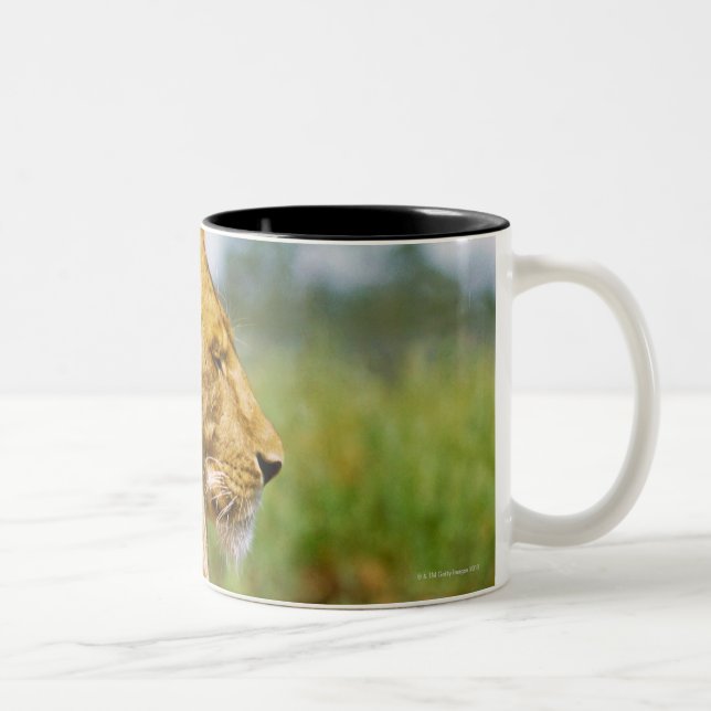 Tasse 2 Couleurs Lion se trouvant sur une roche (Droit)