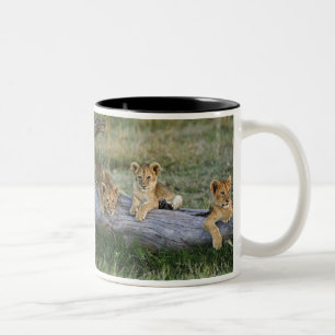 Tasse 2 Couleurs Lionceaux sur rondin