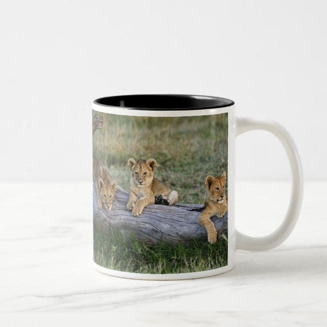 Tasse 2 Couleurs Lionceaux sur rondin (Droit)