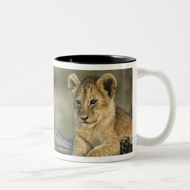 Tasse 2 Couleurs Lionceaux sur rondin (Droit)