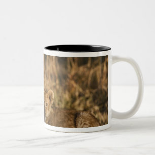 Tasse 2 Couleurs Lionceaux sur rondin