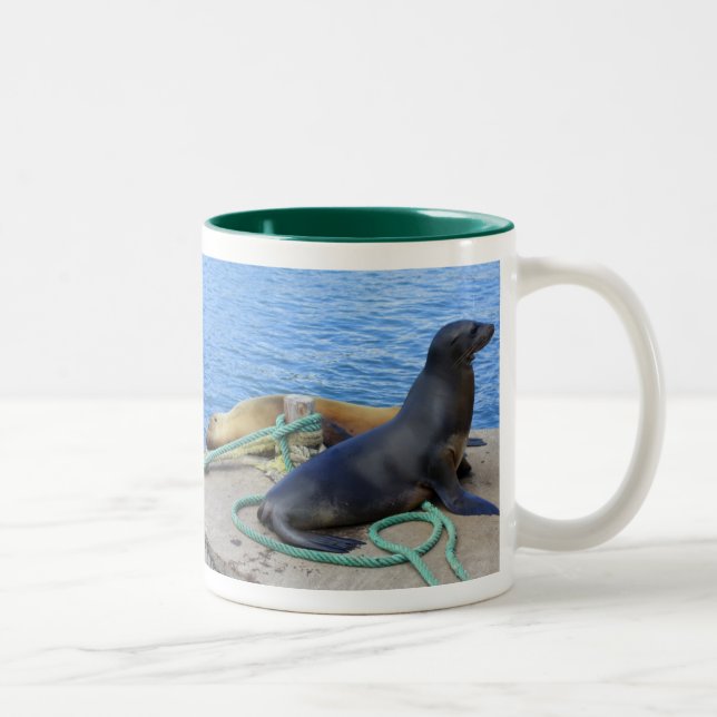 Tasse 2 Couleurs Lions de mer (Droit)