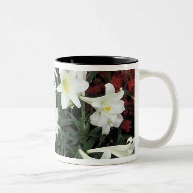 Tasse 2 Couleurs Lis de Pâques (Lilium regale) (Droit)