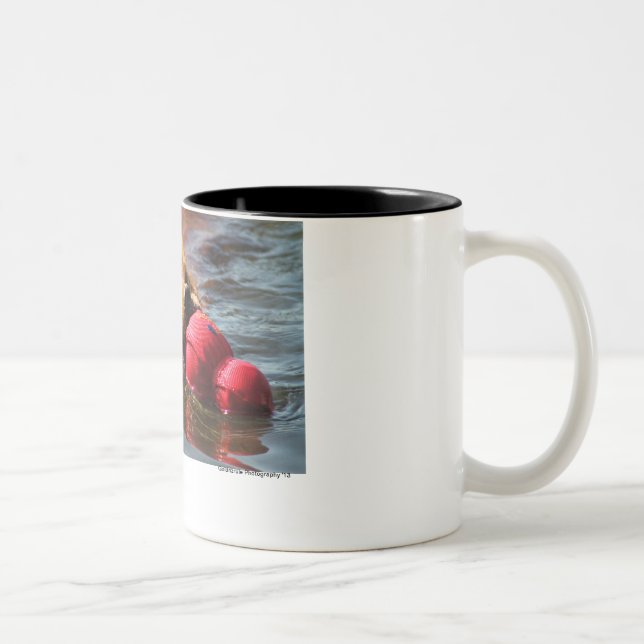 Tasse 2 Couleurs Loki "J'AI OBTENU CECI " (Droit)